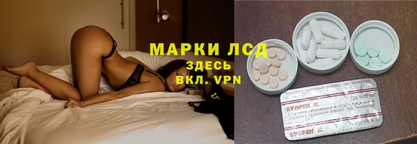 тгк Сатка