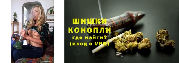 тгк Сатка