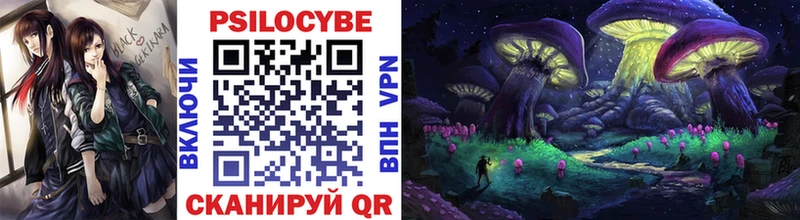 купить  сайты  Оса  Галлюциногенные грибы прущие грибы 