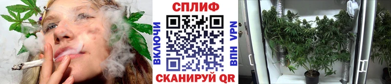 МАРИХУАНА планчик Оса